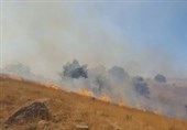 مزارع شهرستان پلدختر باز هم در آتش سوخت