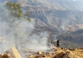 حریق جنگل‌های الوار گرمسیری شهرستان اندیمشک به روایت تصویر