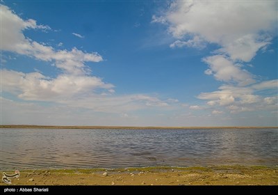 تالاب صالحیه - نظرآباد