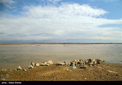 تالاب صالحیه - نظرآباد
