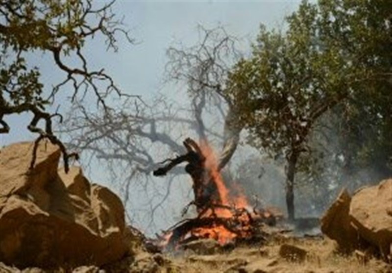 تلاش برای مهار آتش‌سوزی جنگل‌های اندیمشک ادامه دارد