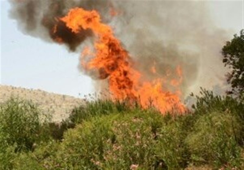 8 هکتار از مراتع منطقه کرمجگان قم در آتش بی‌احتیاطی گردشگران سوخت