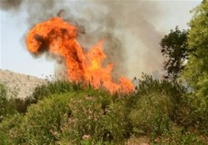 50 درصد آتش‌ سوزی‌های کهگیلویه و بویراحمد در شهرستان بویراحمد رخ داده است