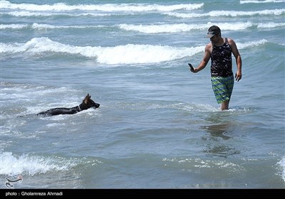 مسافران تعطیلات عید فطر در مازندران