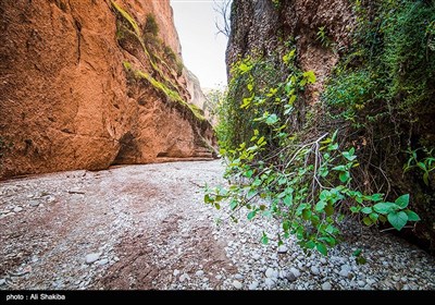 دره کول خرسون - خوزستان