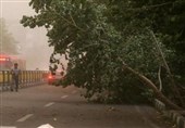 پایان هفته وزش باد شدید و وقوع طوفان لحظه‌ای مهمان استان اصفهان می‌شود