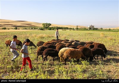  روستای زنجان