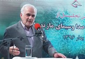 ربیع فلاح