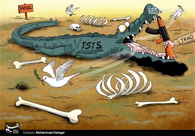 کاریکاتور/ سقوط داعش