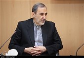 US Dream of Inspecting Iran’s Military Sites Never to Come True: Velayati