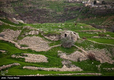 طبیعت تابستانی کرمانشاه