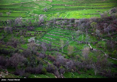 طبیعت تابستانی کرمانشاه