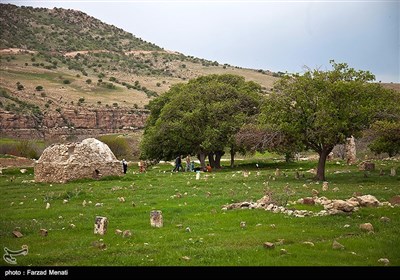 طبیعت تابستانی کرمانشاه