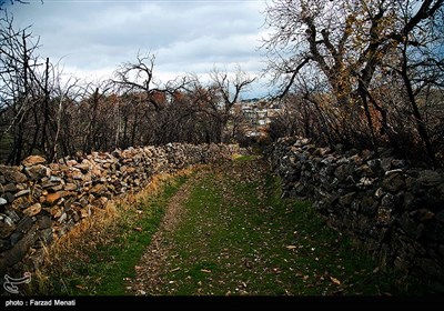 طبیعت تابستانی کرمانشاه