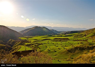 طبیعت تابستانی کرمانشاه