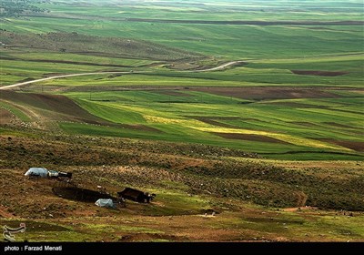 طبیعت تابستانی کرمانشاه