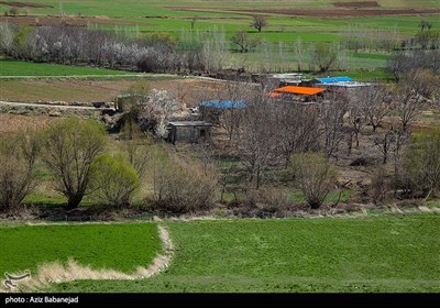 طبیعت الشتر - لرستان