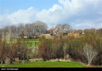 طبیعت الشتر - لرستان