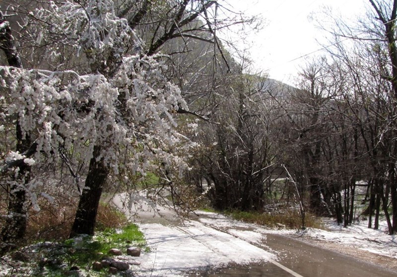 Iran&apos;s Tandooreh National Park: An Attractive Place for Ecotourism