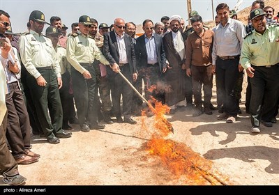 Iran Sets Fire to Large Volume of Illicit Drugs