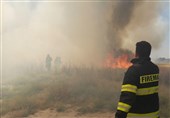 آتش 3 هکتار از مزارع گندم ورامین را سوزاند + تصاویر