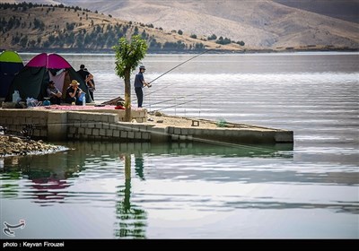 جشنواره تابستانه ماهیگیری سنندج