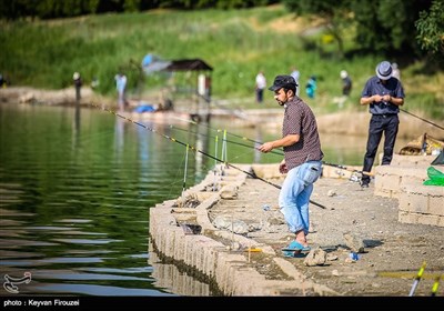 جشنواره تابستانه ماهیگیری سنندج
