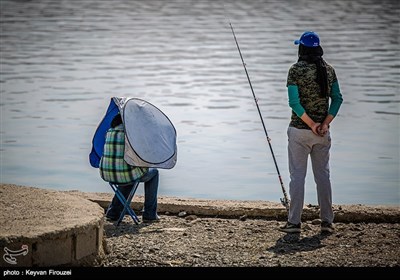 جشنواره تابستانه ماهیگیری سنندج