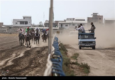 هفته دوم کورس اسبدوانی بندرترکمن