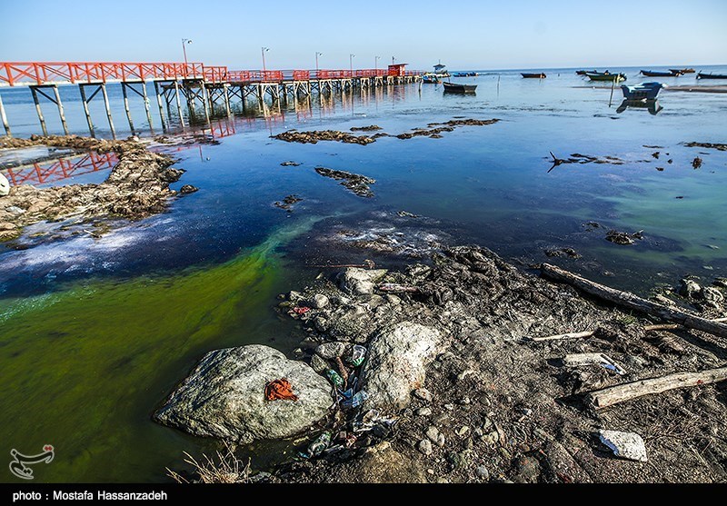 برنامه درازمدت نجات خلیج گرگان تدوین شود
