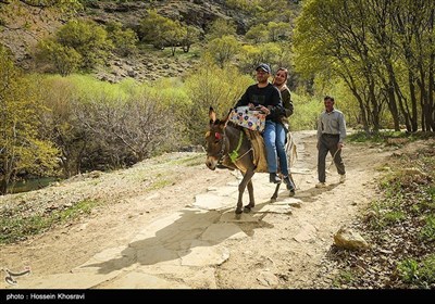 &quot;گمشدہ بہشت&quot;؛ ایران کے صوبہ فارس میں دلنشین نظاروں کا حامل تفریحی مقام