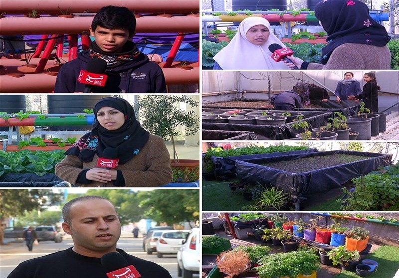 Besieged Gaza People Farming on Rooftops to Resist Blockade (+Video)