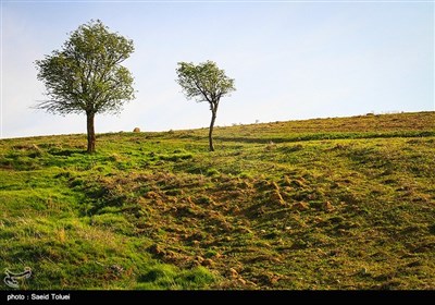 الطبیعة فی ’’شیروان‘‘ شمال شرق إیران