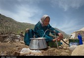 کرمانشاه| خدمت‎رسانی به عشایر در مناطق زلزله‎زده ادامه دارد