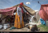 جشنواره کوچ عشایر استان اردبیل در سطح بین‌المللی برگزار می‌شود