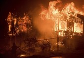 آتش در خرمن جنگل‌های روسیه افتاد