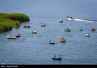 تالاب زریوار - کردستان