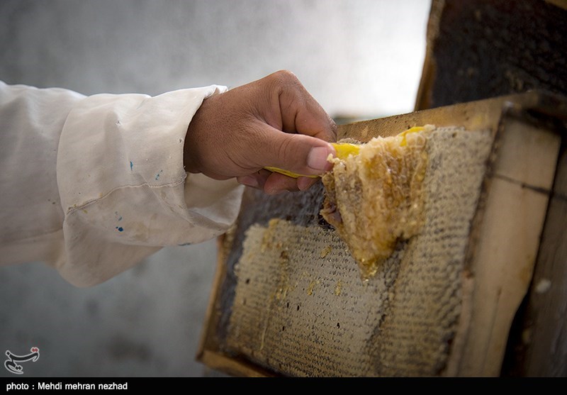 عدم برندسازی کام کندوداران چهارمحال و بختیاری را تلخ کرده است/ فروش عسل به نام استان‌های دیگر