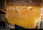 همدان| تشخیص عسل تقلبی تنها از راه آزمایشگاه امکان‌پذیر است