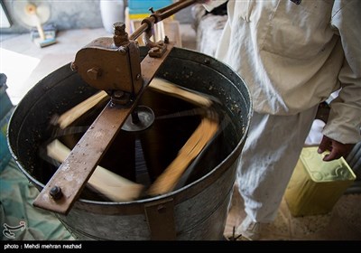 بالصور.. انتاج العسل الطبیعی فی ایران