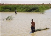 مردم سیستان در پی جاری شدن آب در رودخانه هیرمند سجده شکر به جا آوردند+فیلم