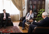 مصاحبه اختصاصی تسنیم با سفیر عراق در ایران