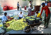 وقتی مسئولان برای صادرات مازاد محصولات کشاورزی کردستان برنامه‌ای ندارند