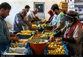 میوه شب عید کهگیلویه و بویراحمد از باغداران استانی خریداری می‌شود
