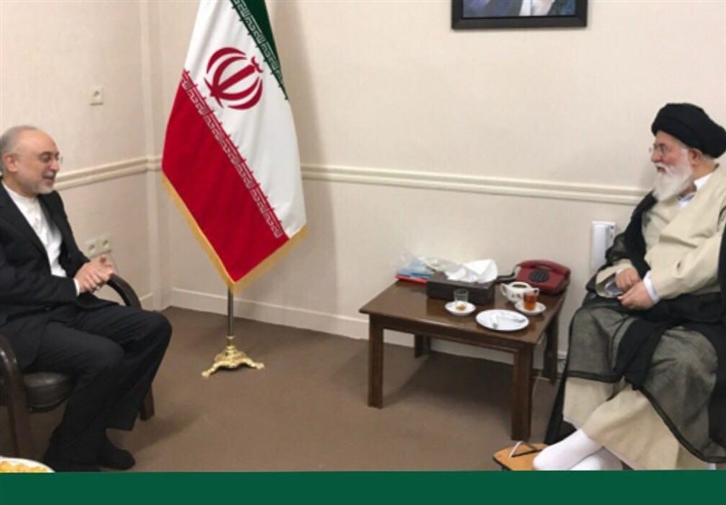 رئیس سازمان انرژی اتمی با آیت‌الله علم‌الهدی دیدار کرد