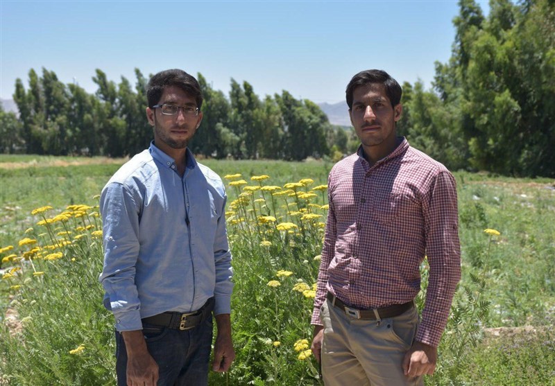 اشتغالزایی دو برادر فیروزآبادی برای 5 هزار نفر روز کارگر/ سرمایه یک کارآفرین پشتکار و امید به خدا است