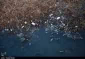 98 رشته از رودخانه‌های استان گیلان آلودگی میکروبی دارند