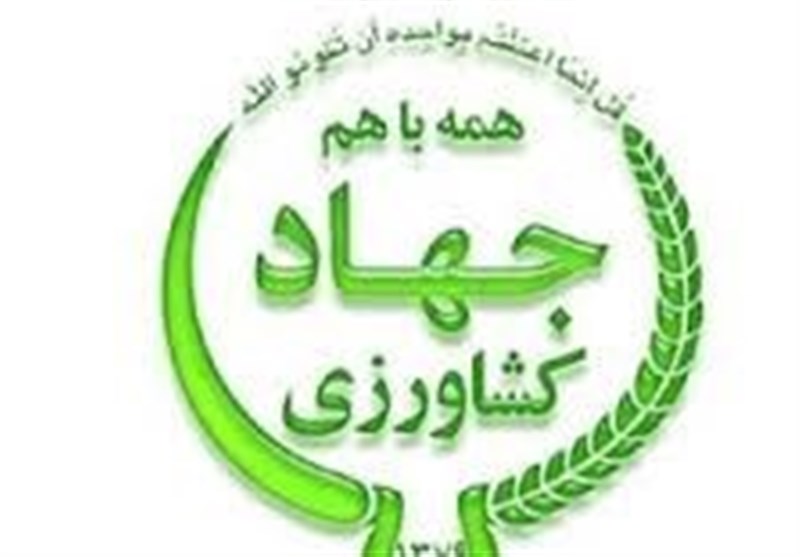 رئیس سازمان جهاد کشاورزی استان کرمانشاه منصوب شد