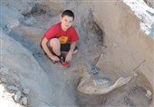 کشف تصادفی یک فسیل 1.2 میلیون ساله توسط یک کودک + عکس و فیلم