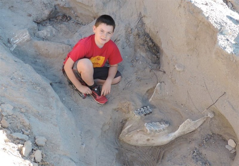 کشف تصادفی یک فسیل 1.2 میلیون ساله توسط یک کودک + عکس و فیلم